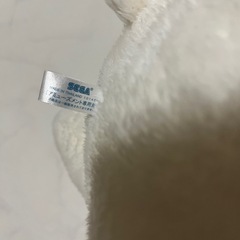 🐻‍❄️しろくま🐘ぞうの画像