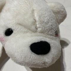 🐻‍❄️しろくま🐘ぞうの画像