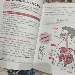これならわかる　生理学の画像