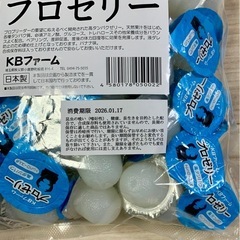 プロゼリー 16g 100個✨新品未開封✨クワガタとセットで100円割引の画像