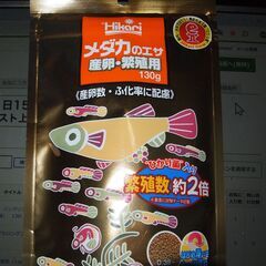 メダカ　紅白ラメ幹之稚魚（１㎝前後）　20匹の画像