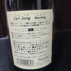 カール・ユングリースリングの画像