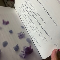 天然石　本の画像