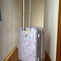 Mｻｲｽﾞ(約60L) スーツケースの画像