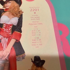 パイレーツオブカリビアン🏴‍☠️海賊衣装コスプレの画像