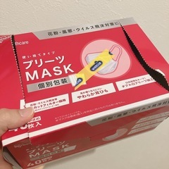 プリーツマスク(個包装) 21枚の画像