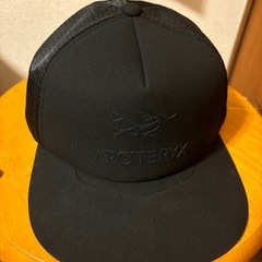 アークテリクス　キャップの画像
