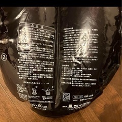 浮き輪　カブトムシ　クワガタの画像