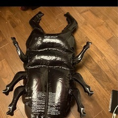 浮き輪　カブトムシ　クワガタの画像