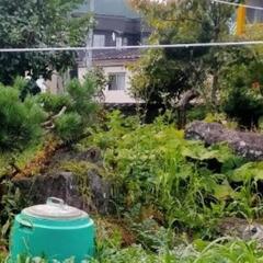 日本庭園の石、樹木、池作り用に。の画像