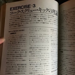 佐山聡のシューティング入門初代タイガーマスクの画像