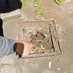 【排水溝】お庭の外枡内菅詰まりによる排水桝洗浄ご依頼作業へ…