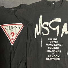 Tシャツの画像