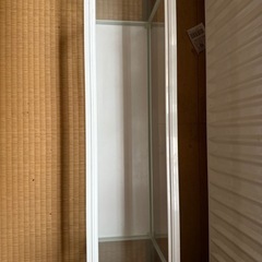 水槽　GEX 60cm スリムタイプ　ガラス水槽　魚　熱帯魚　爬虫類　飼育水槽の画像