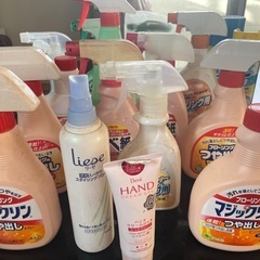 掃除洗剤/他(長期保管)の画像