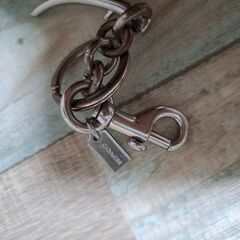 COACH　さくらんぼ(実)キーホルダーの画像