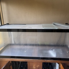水槽の画像