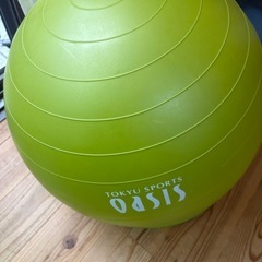 OASIS キッズバランスボールの画像