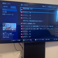 東芝　タイムマシンハードディスクD-M210の画像