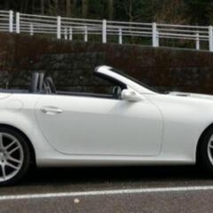 ◎希少低走行！★メルセデスベンツSLK200スポーツED★車検2年★AMGの画像