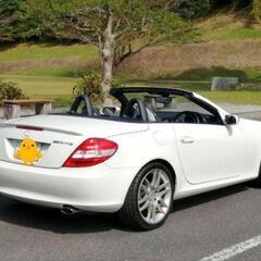 ◎希少低走行！★メルセデスベンツSLK200スポーツED★車検2年★AMGの画像