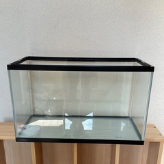 m.iさんに決まりました。飼育用ガラスケース(水槽)とピカチュウ保冷バックの画像