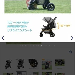 ‼️新品‼️Joeyベビーカー、バギーの画像