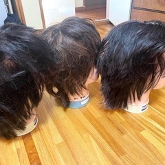 トレーニング用　
カットウィッグ　美容師　　の画像