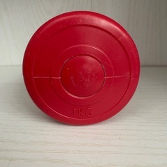 1kg　カラーダンベル 赤の画像