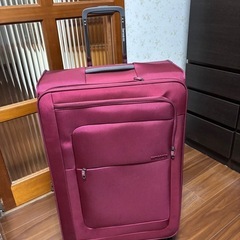 サムソナイト大型布製スーツケースの画像