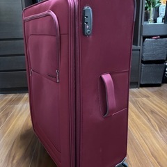 サムソナイト大型布製スーツケースの画像