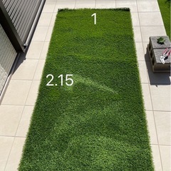 リアル人工芝の画像