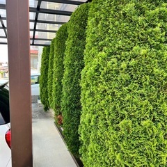 お世話様です！植木屋です！！