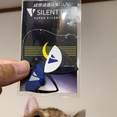  サイレントピック1枚 Ｎ-2000 【最も音が小さく鳴るモデル】 あこぎの騒音防止と練習に ギターピック 弱音器の画像