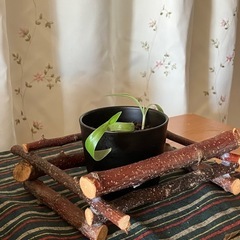 柿の木、ココナッツの殻どちらも乾燥済み
の画像