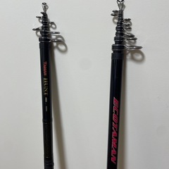 【受け渡し予定者あり】釣竿 海釣り TAMAN HUNT 480 ピトン等　まとめての画像