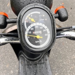 today  乗って帰れます。の画像