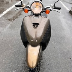today  乗って帰れます。の画像