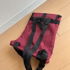 小さなリュックの画像