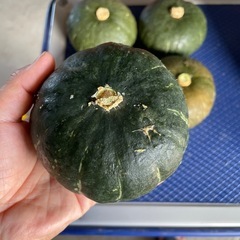 栗かぼちゃ5個の画像