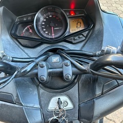 フェイズ250 mf11の画像