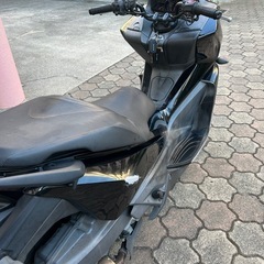 フェイズ250 mf11の画像