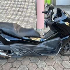 フェイズ250 mf11の画像