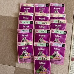 新品子猫用トイレと子猫用エサの画像