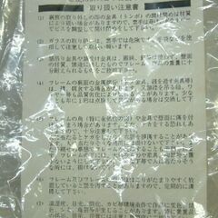 DOLPHIN ENVIRONMENT クリスチャン・ラッセン PLINTED IN JAPANの画像