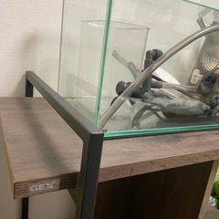 譲ります】45cm水槽、水槽台、GEXの画像