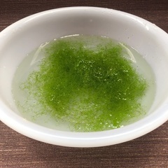 水草　めだか　産卵床などの画像
