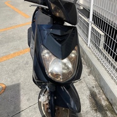シグナス　2型の画像
