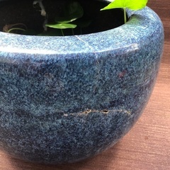 めだか鉢　メダカ鉢　火鉢　水草大量付きの画像