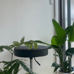 昇降式スツール　49〜68cm の画像